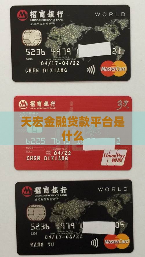 天宏金融是什么平台贷款