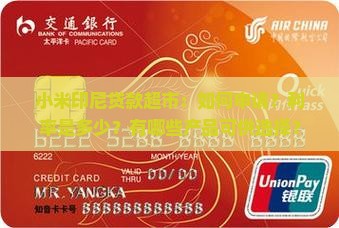 小米印尼贷款超市