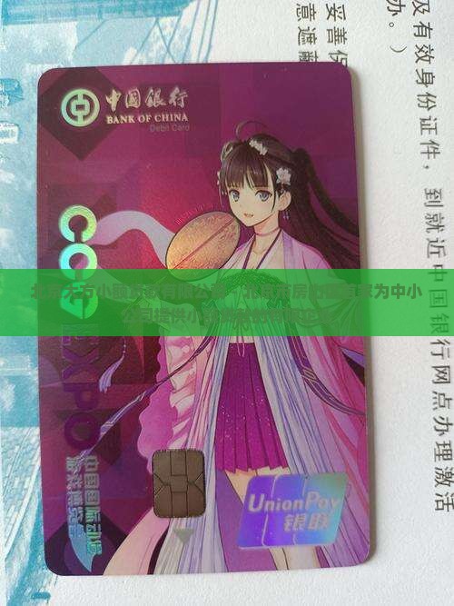 北京大方小额贷款