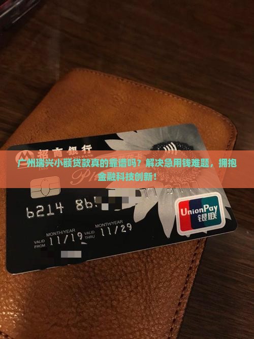 广州瑞兴小额贷款
