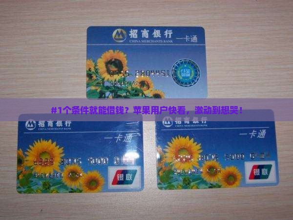 只用苹果手机就能贷款