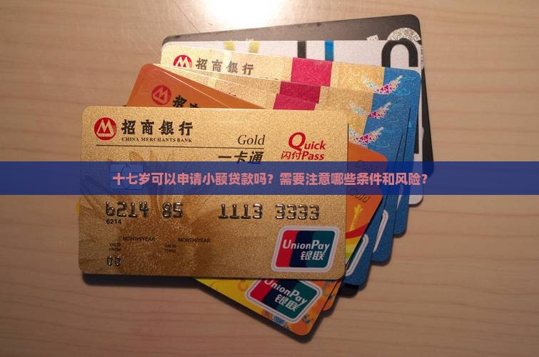 十七岁可以小额贷款
