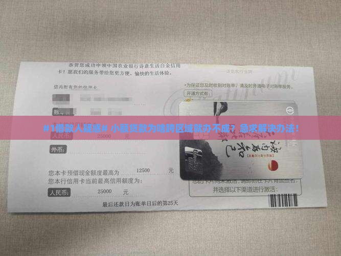 小额贷款跨区域不能做么