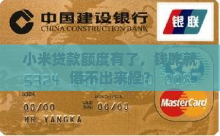 小米贷款有额度无法借出