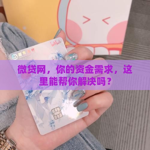 微贷网贷款平台
