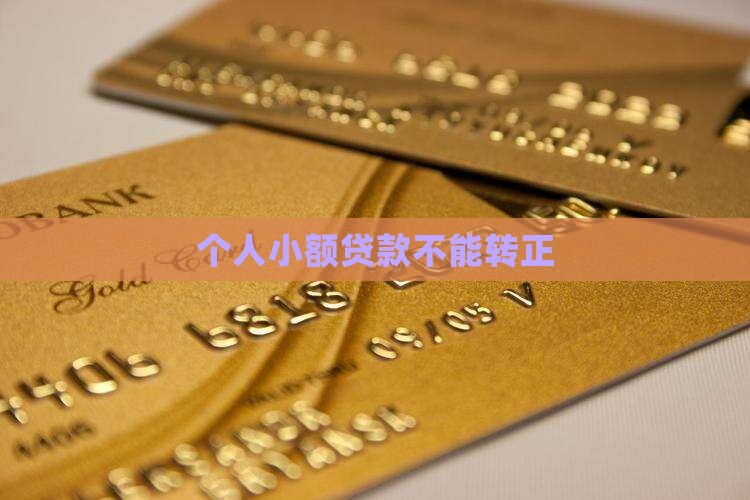 小额贷款不能转正