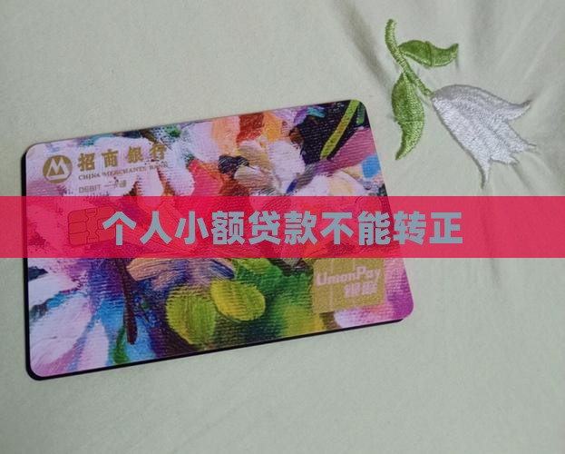 小额贷款不能转正