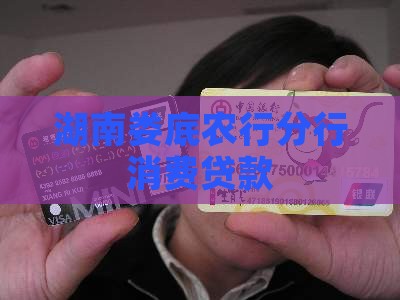 娄底银行消费贷款
