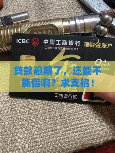 小额贷款没还还能借吗