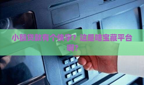 小额贷款有个侠字的