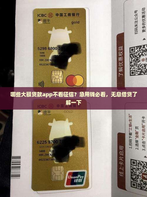 哪些大额贷款app不看征信