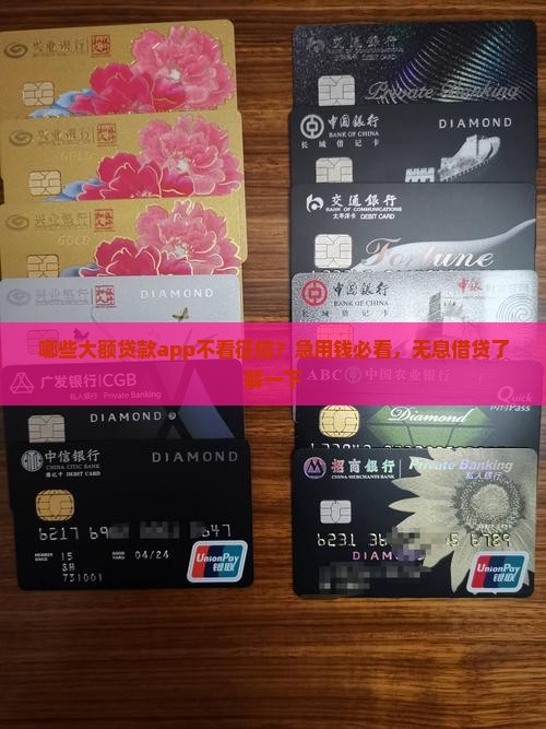 哪些大额贷款app不看征信