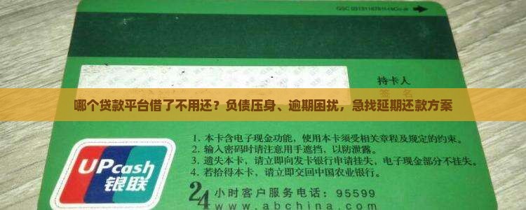 哪个贷款平台借了不用还