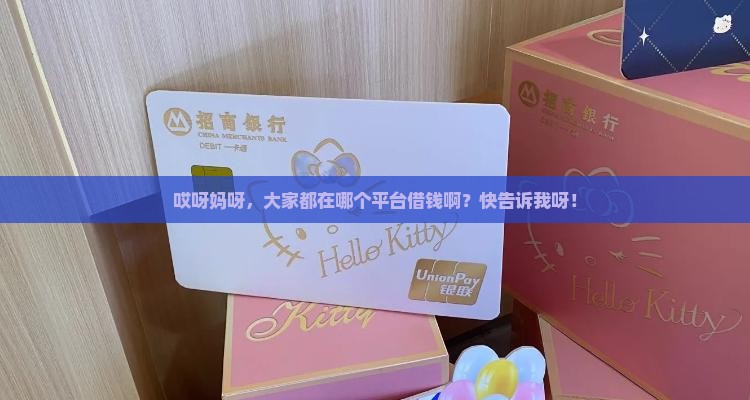 大家都在哪个平台贷款
