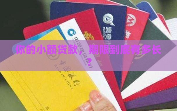 小额贷款期限是多少