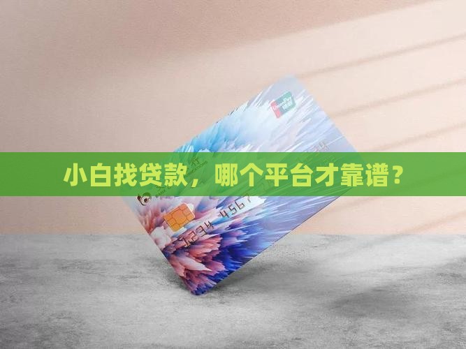 小白需要什么贷款平台