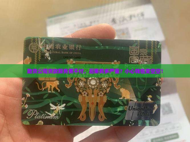 助贷公司贷款服务费不付款后果