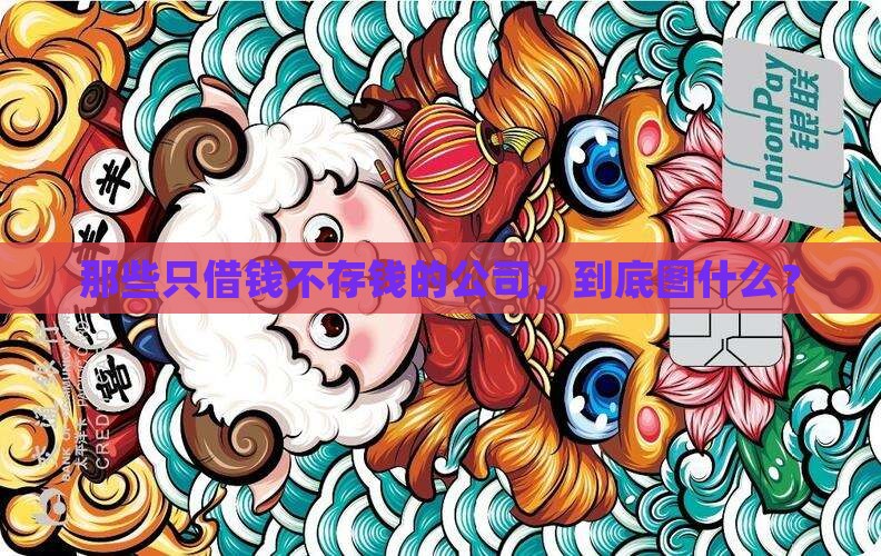 只贷款不存款的公司