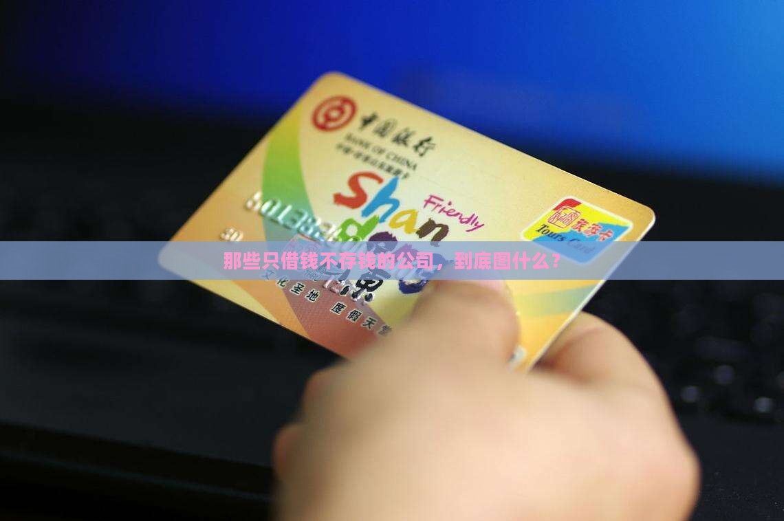只贷款不存款的公司