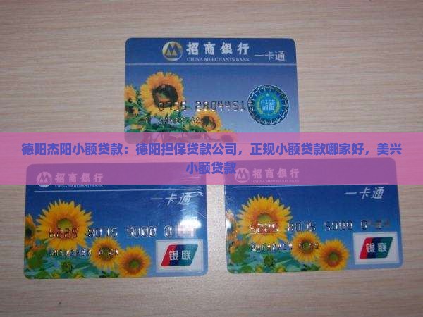 德阳杰阳小额贷款