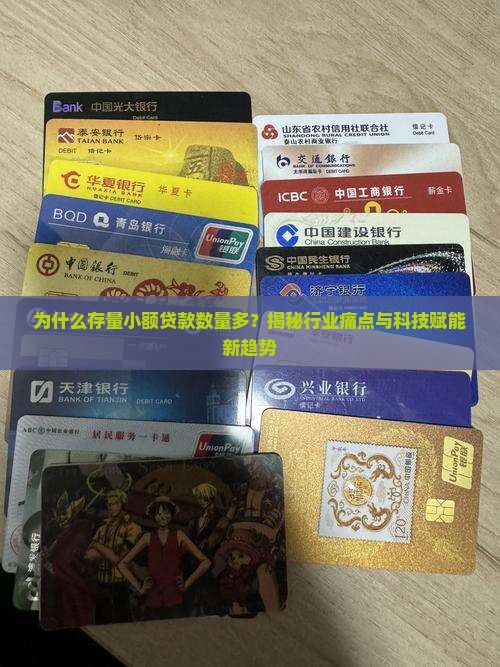 存量小额贷款数量多的原因