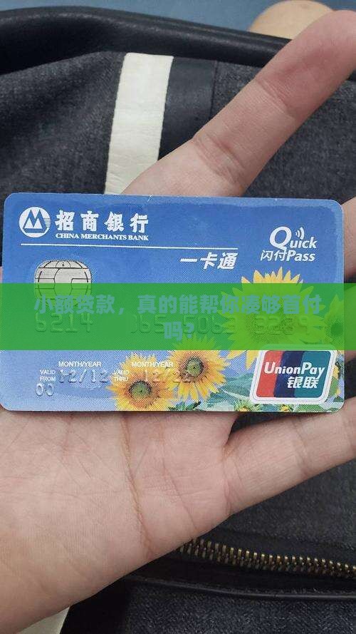 小额贷款能付首付
