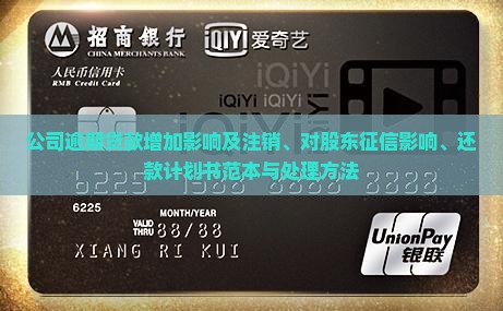 公司逾期贷款