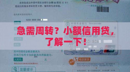 小额信用贷款q