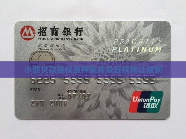 小额贷款股权质押条件