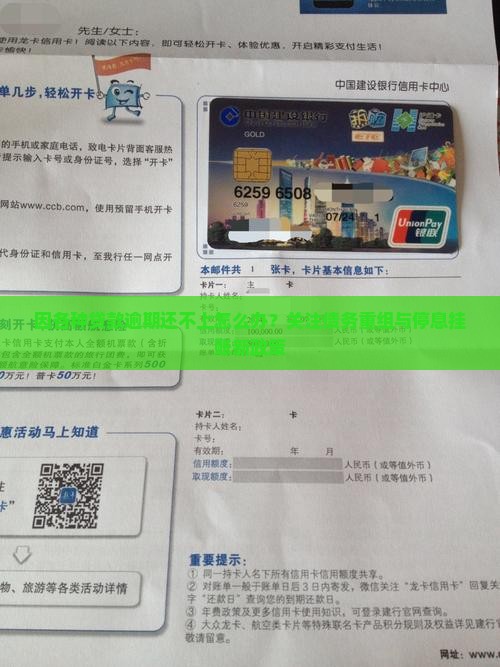 因各种贷款逾期怎么办