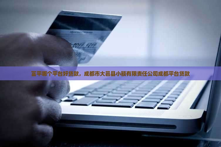 富平哪个平台好贷款