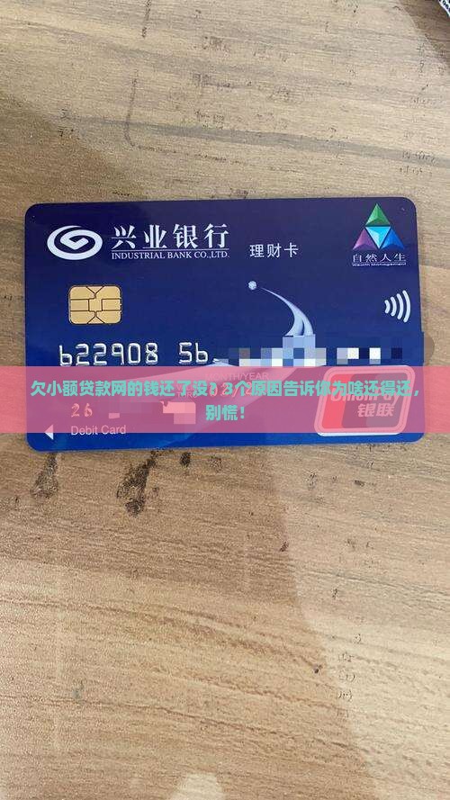 小额贷款网还需要还吗