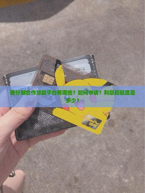 奢分期合作贷款平台