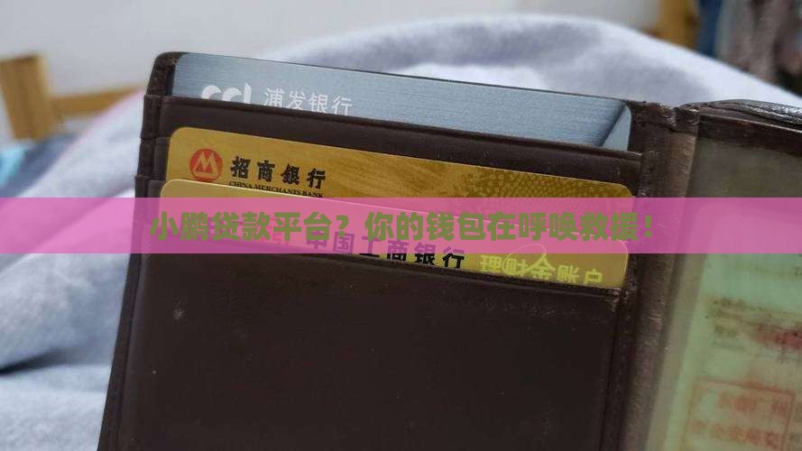 小鹏贷款平台