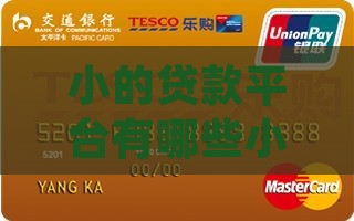 小的贷款平台有哪些