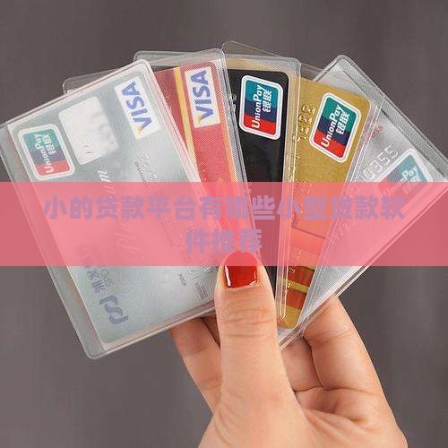 小的贷款平台有哪些