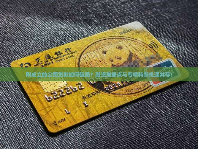 刚成立的公司贷款