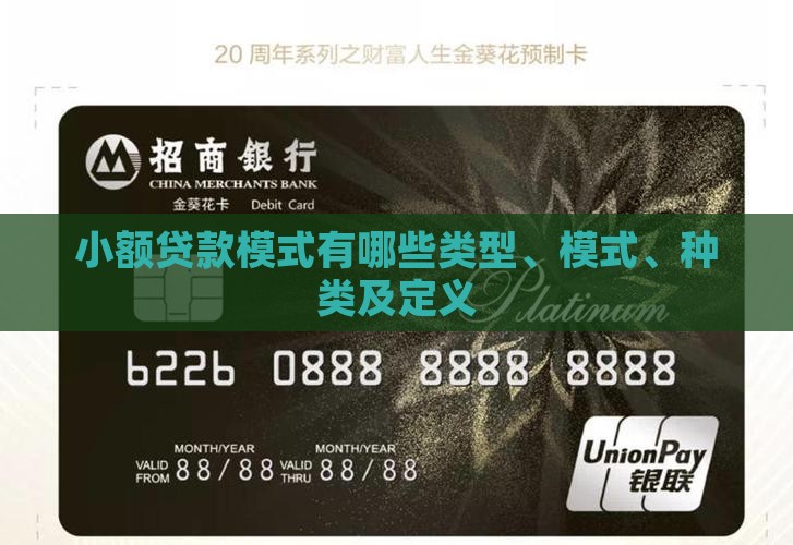 小额贷款模式有哪些