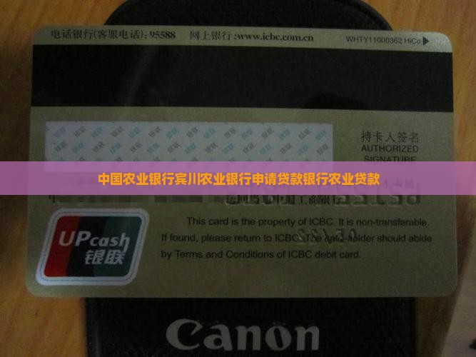 宾川农业银行申请贷款