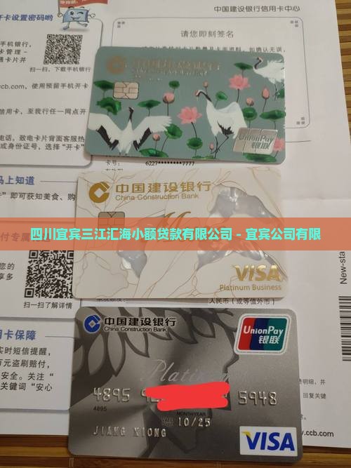 宜宾三江汇海小额贷款