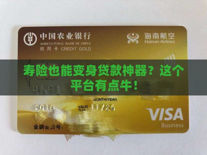 寿险模式贷款的平台