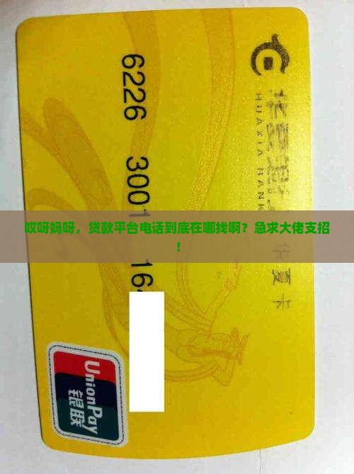 在哪能查贷款平台电话
