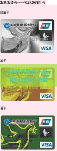 小额贷款还不起如何处理