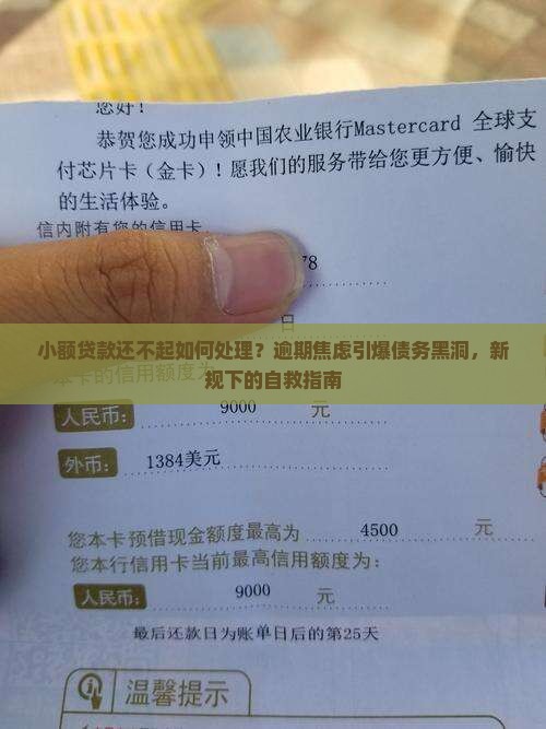 小额贷款还不起如何处理
