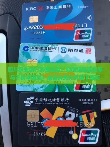 四川农业银行消费贷款