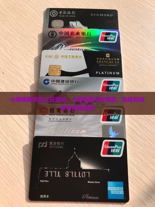 小猪快跑贷款上征信吗