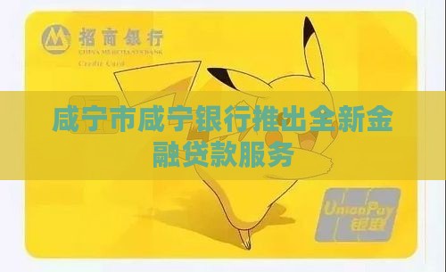咸宁银行金融机构贷款