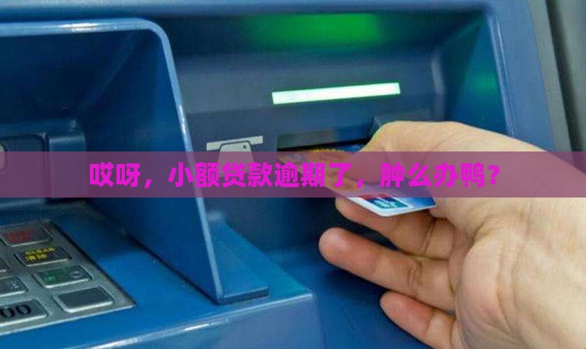 小额贷款没有还怎么搞