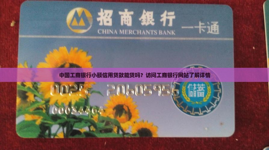 小额信用贷款工行能贷吗