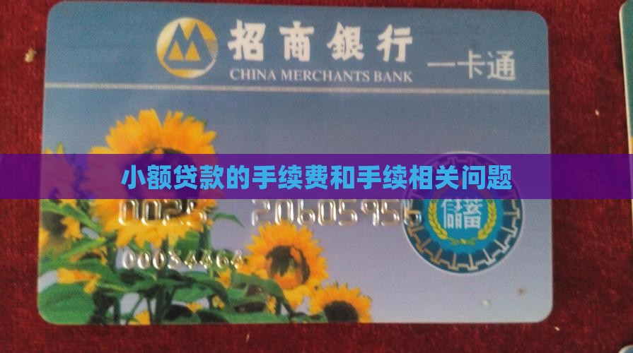 小额贷款要先付手续费吗